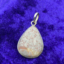 Load image into Gallery viewer, Jasper Teardrop Pendant
