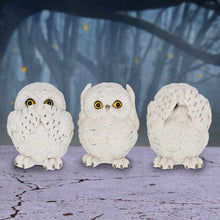 Load image into Gallery viewer, Three Wise Owls Resin Figurines 8cm

