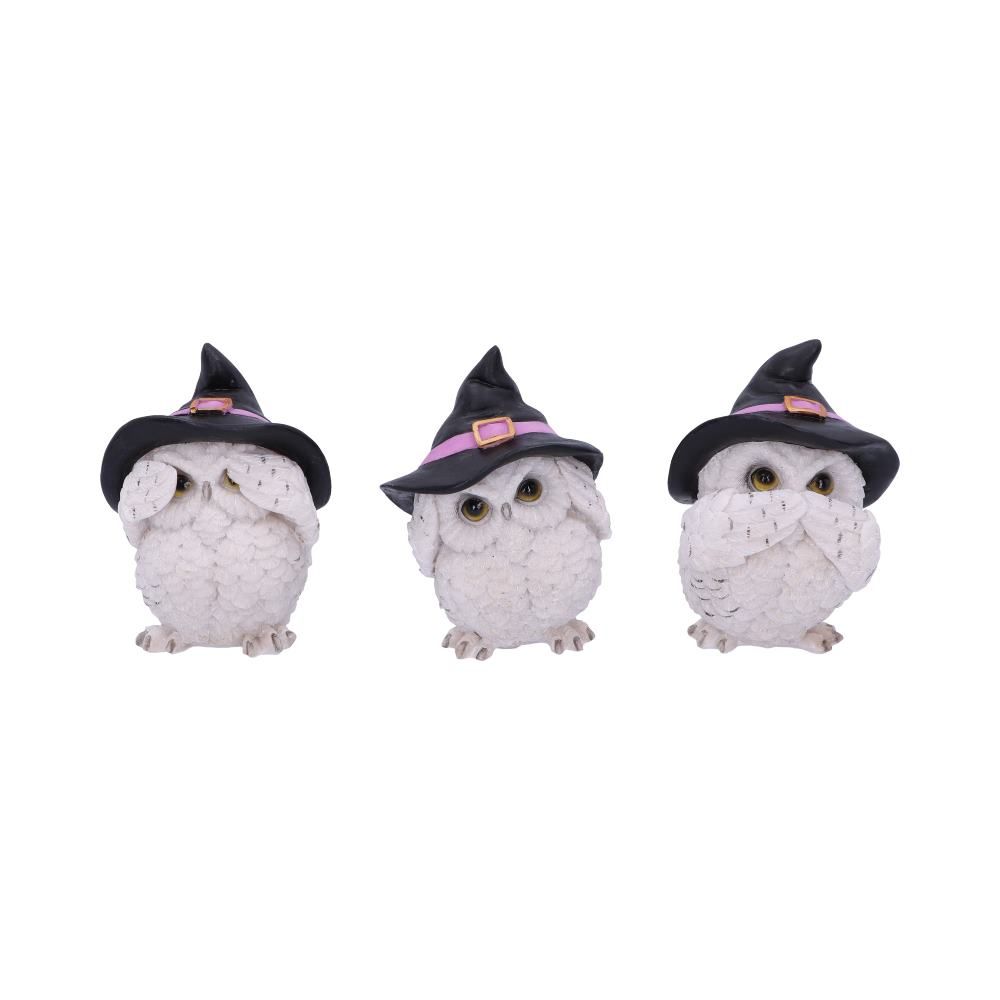 Three Wise Feathered Familiars 9cm