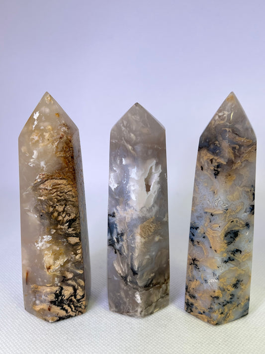 Dendritic  Agate Points