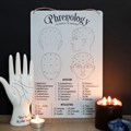 PHRENOLOGY MAP METAL SIGN