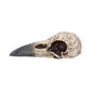 Edgar's Raven Skull 21cm