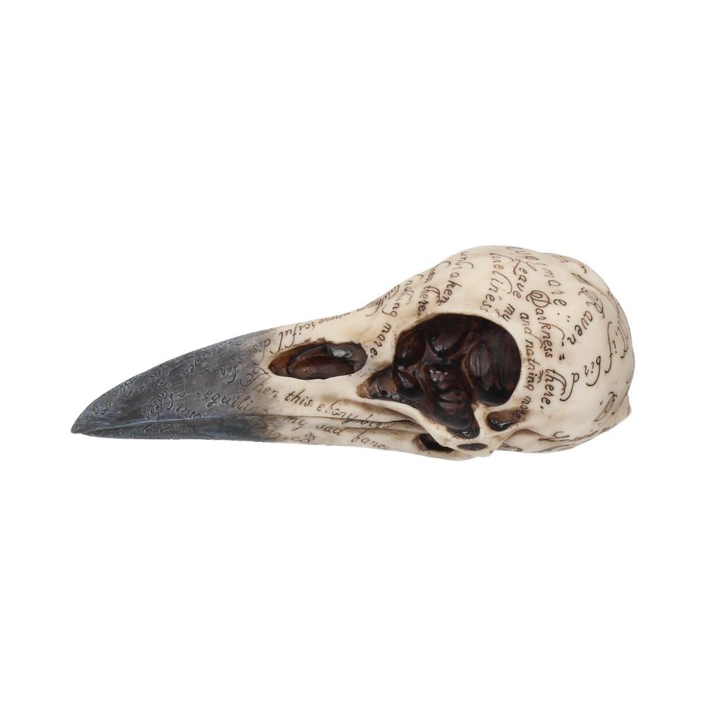 Edgar's Raven Skull 21cm