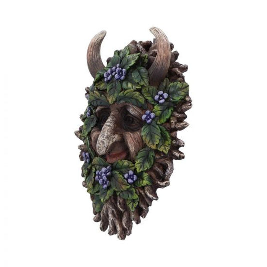 Alder Wall Mounted Tree Spirit 20.2cm