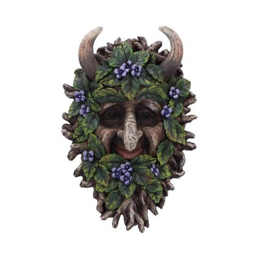 Alder Wall Mounted Tree Spirit 20.2cm