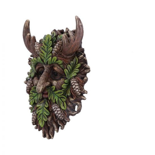 Bryn Wall Mounted Tree Spirit 20.8cm