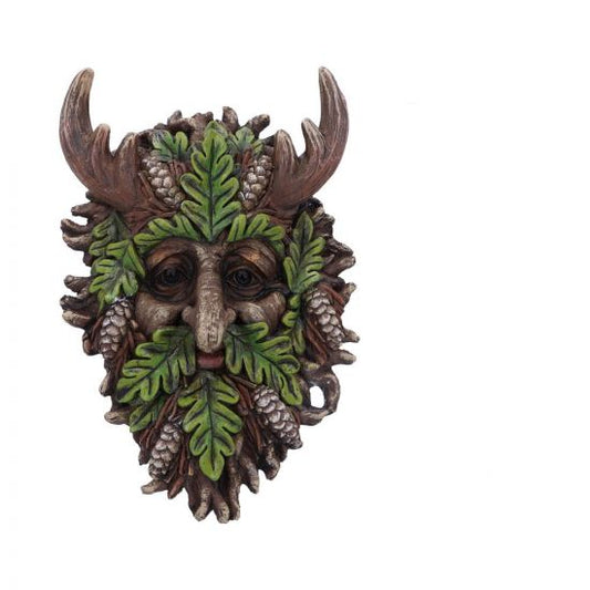 Bryn Wall Mounted Tree Spirit 20.8cm