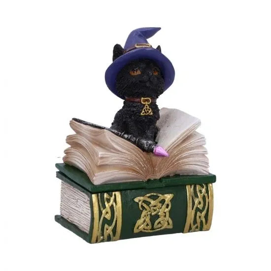 Binx spell box 11cm