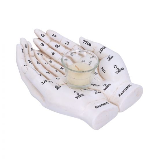 Palmist's Guide (White) 22.3cm