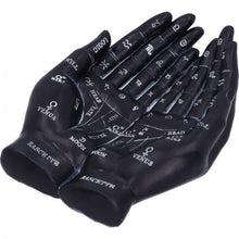 Load image into Gallery viewer, Palmist&#39;s Guide (Black) 22.3cm
